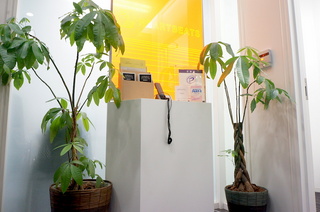 DSC02566.JPG